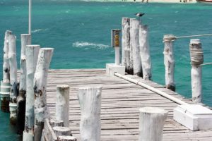 überstellung yachttransfer yachtservice kroatien überstellung yachttransfer yachtservice kroatien
